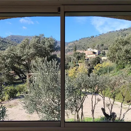 Maison Du Vieux Chene * Grimaud