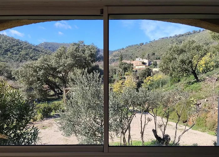 Maison Du Vieux Chene * Grimaud